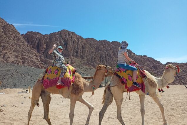 сафари на багии