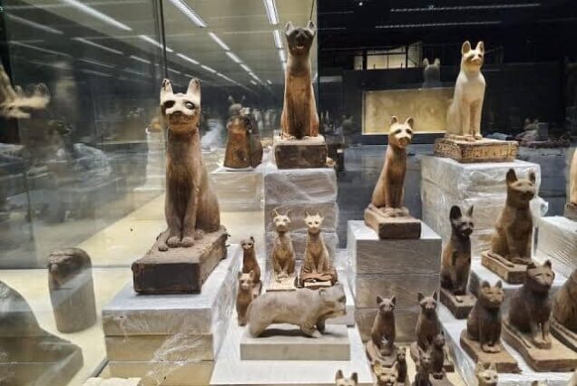 экскурсия по Шарм-эль-Шейху + музей (индивидуальная)